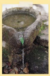 Image of a small stone fountain